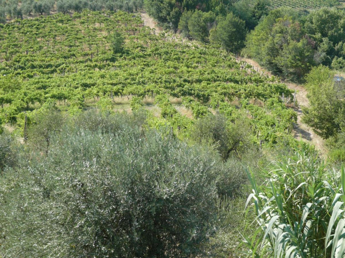 Agriturismo Santa Croce San Gimignano Buitenkant foto
